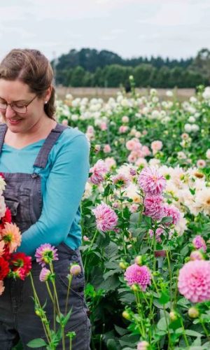 Navigating the Seasons: Best Blooms to Send in Sydney Throughout the Year